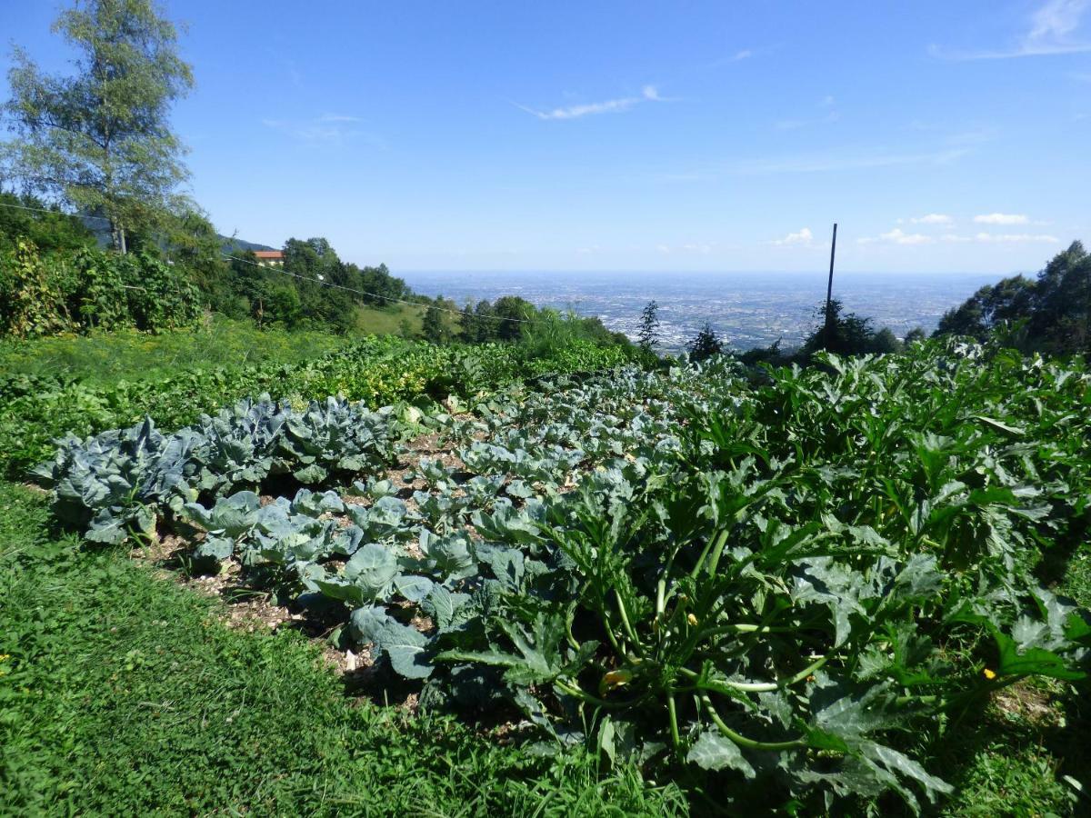 Damarco Alloggio Turistico Locanda Schio Luaran gambar